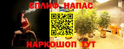 ECSTASY Малгобек